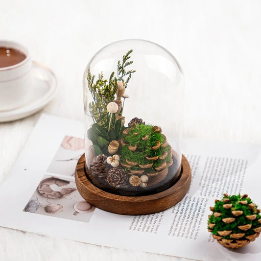 EternaBloom™ Night Light - Luminoya