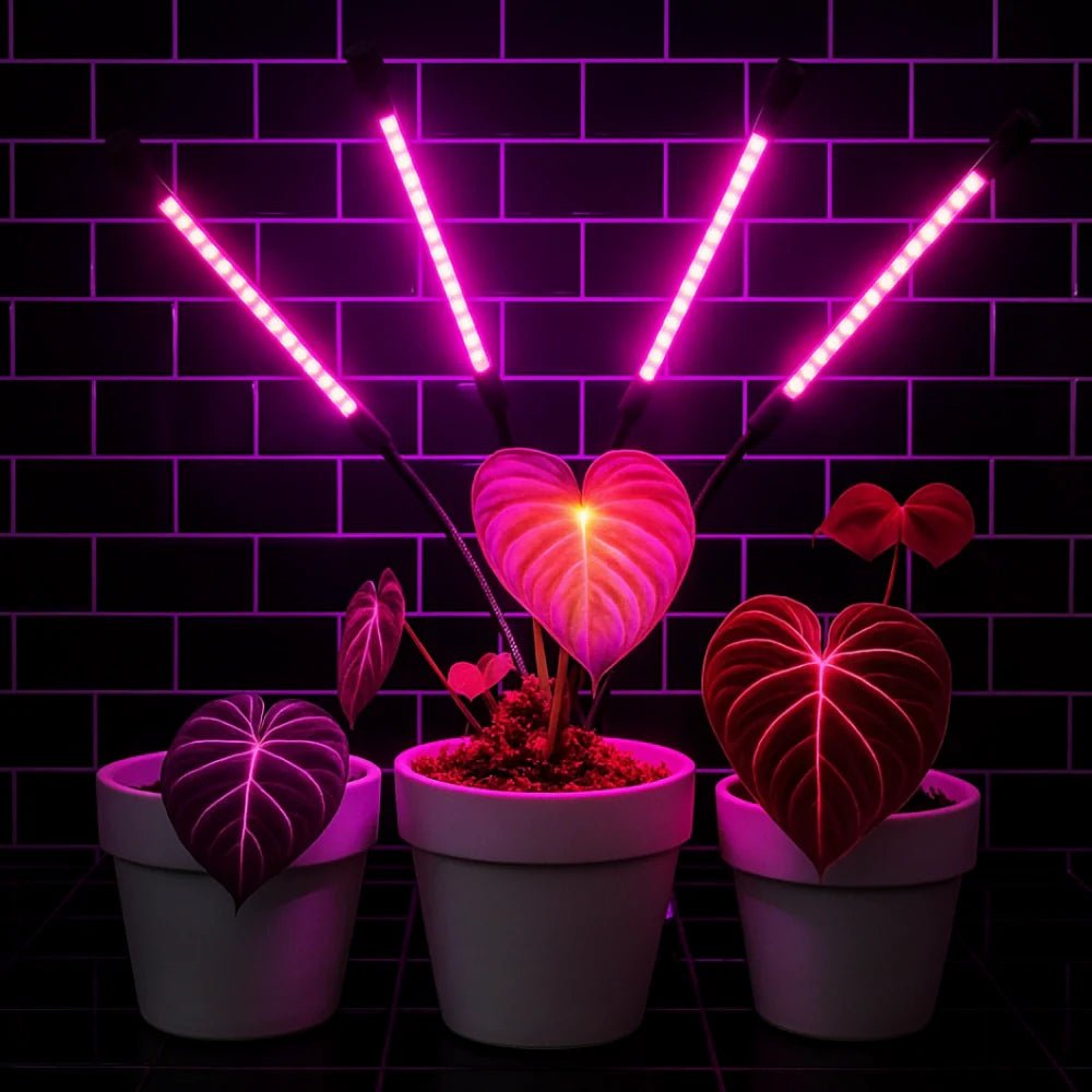 FloraFlare™ Grow Light - Luminoya