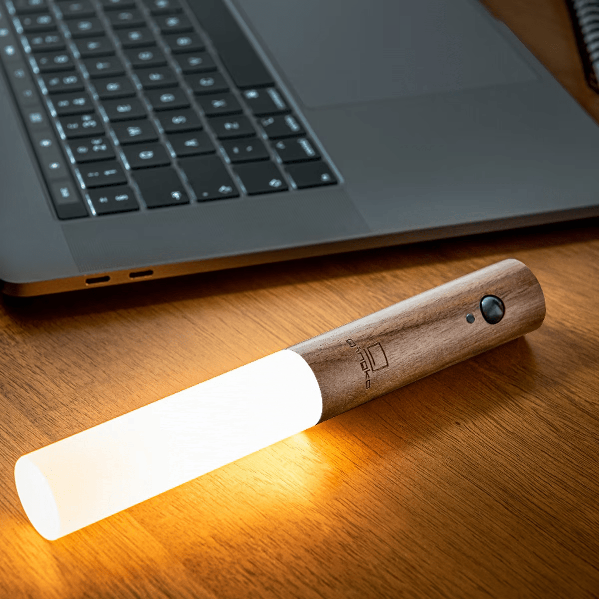 Modern Torch Motion Light - Luminoya