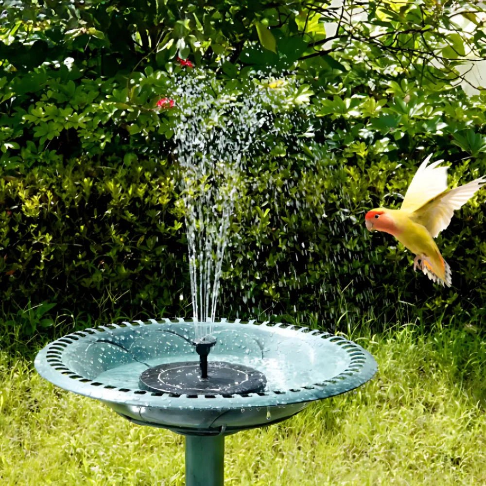 Solar Powered Radiance Fountain - Luminoya