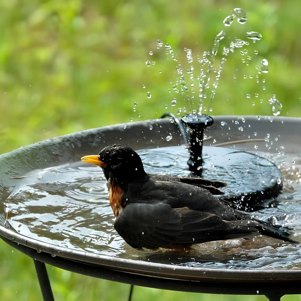 Solar Powered Radiance Fountain - Luminoya