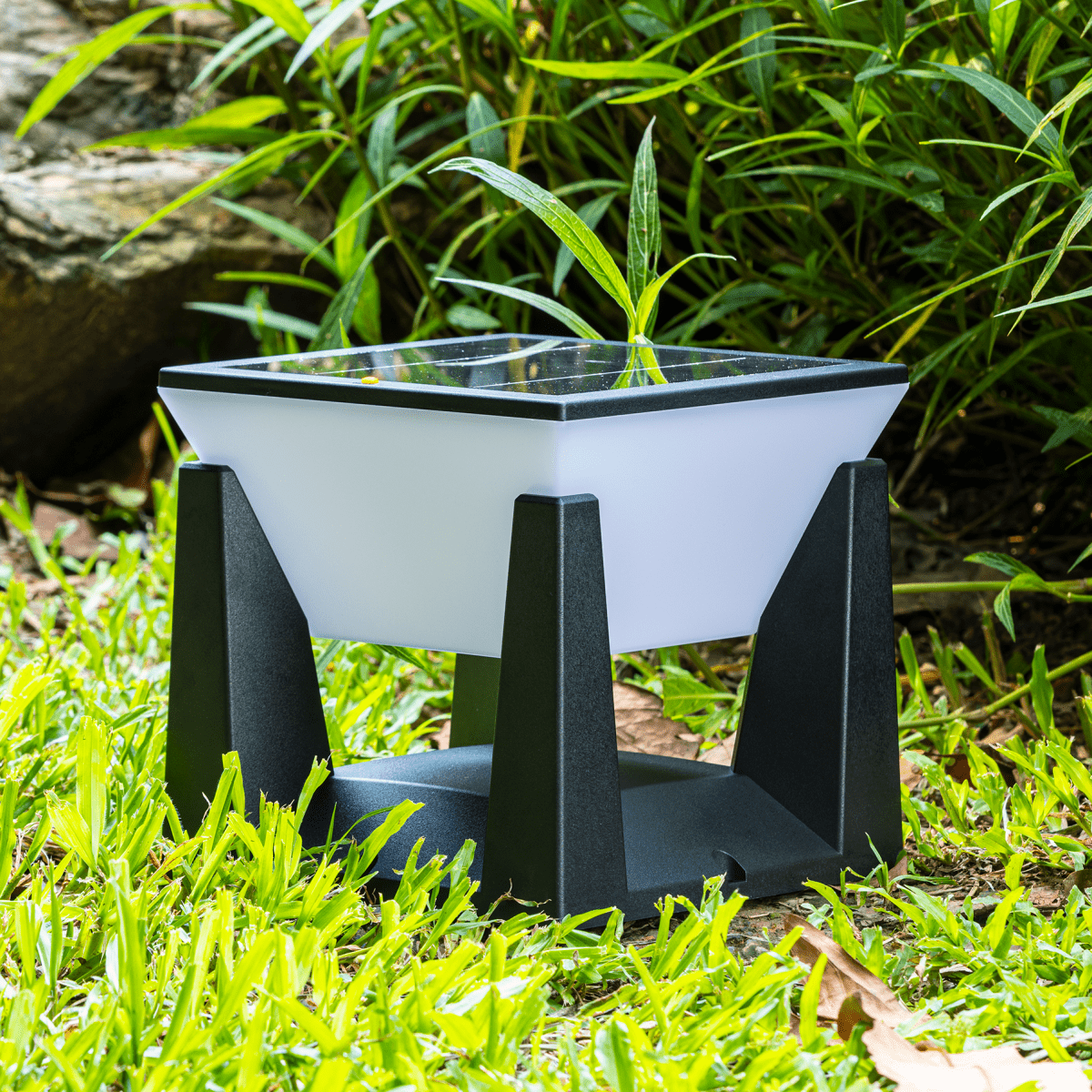 SolarPath™ Outdoor Light - Luminoya