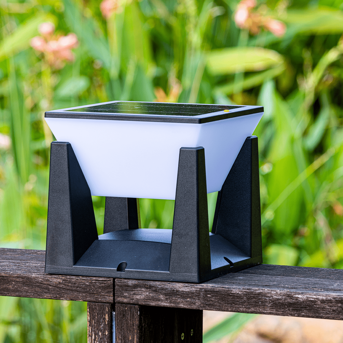 SolarPath™ Outdoor Light - Luminoya