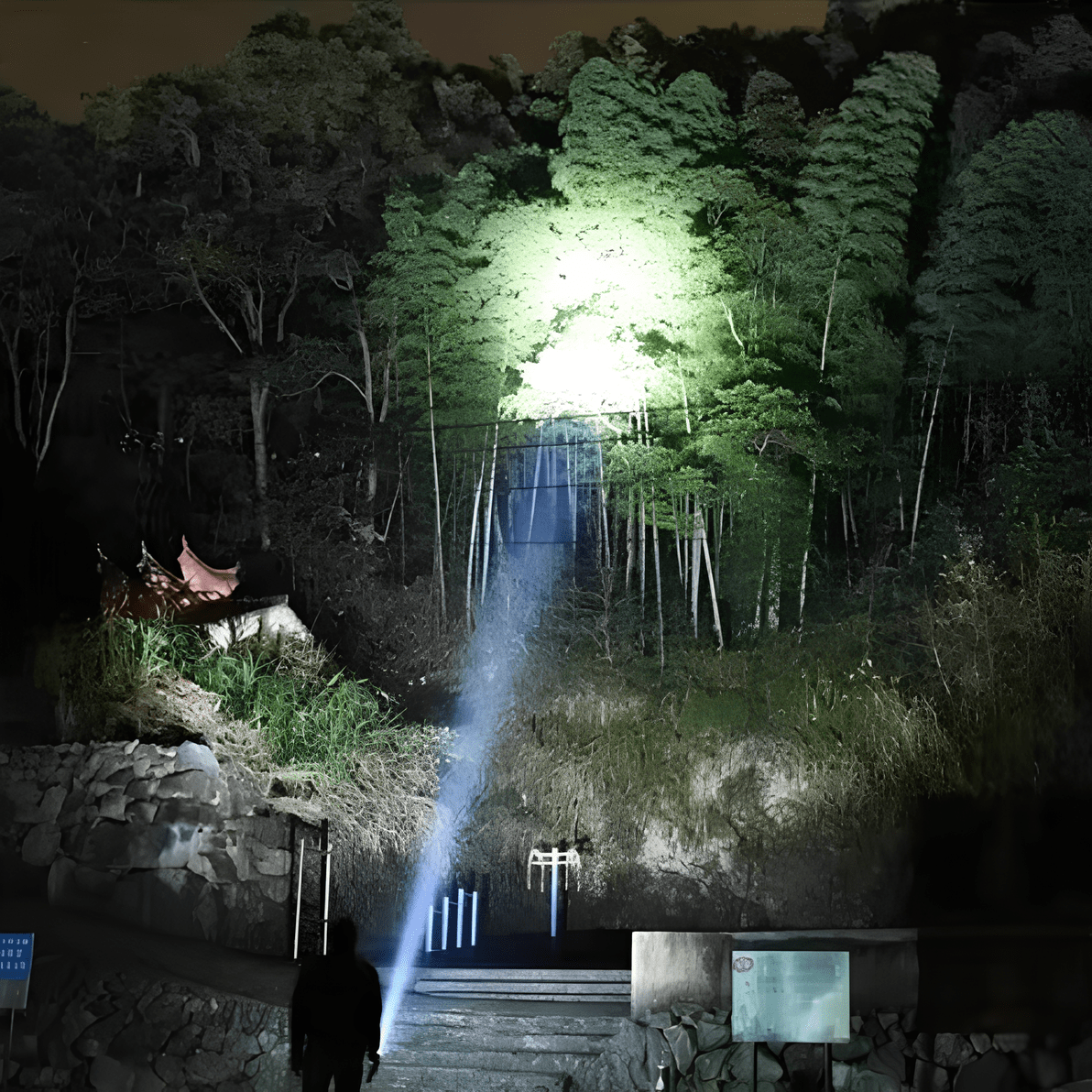 BeamMax™ Flashlight - Luminoya