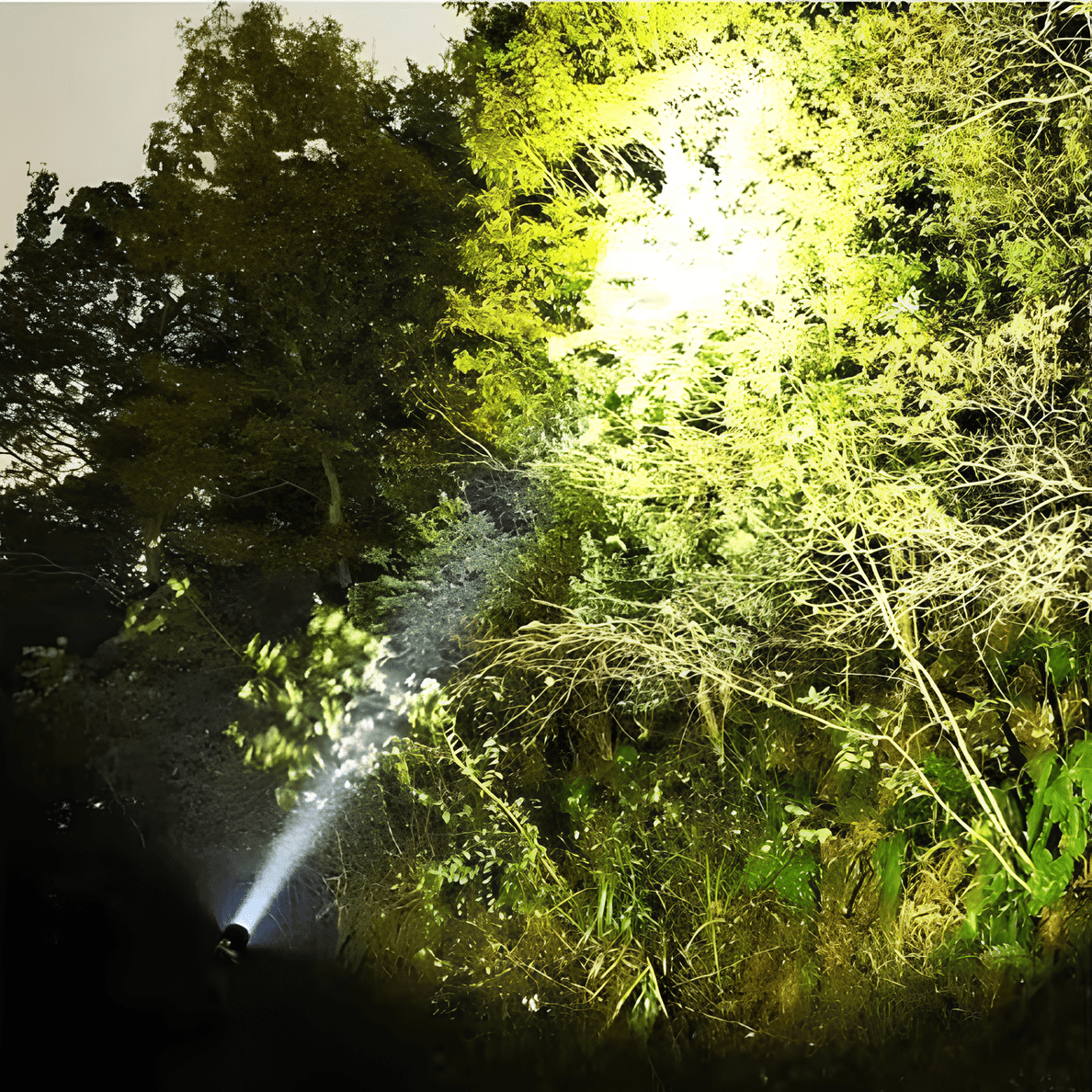 BeamMax™ Flashlight - Luminoya