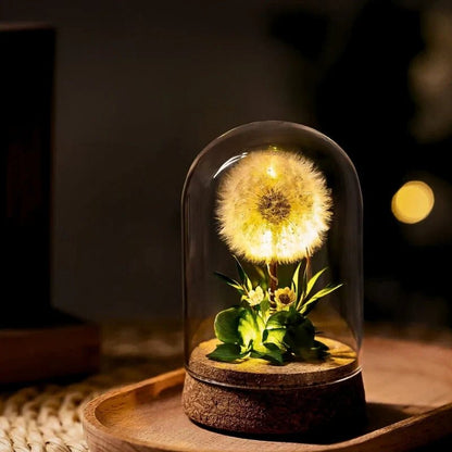 EternaBloom™ Night Light - Luminoya