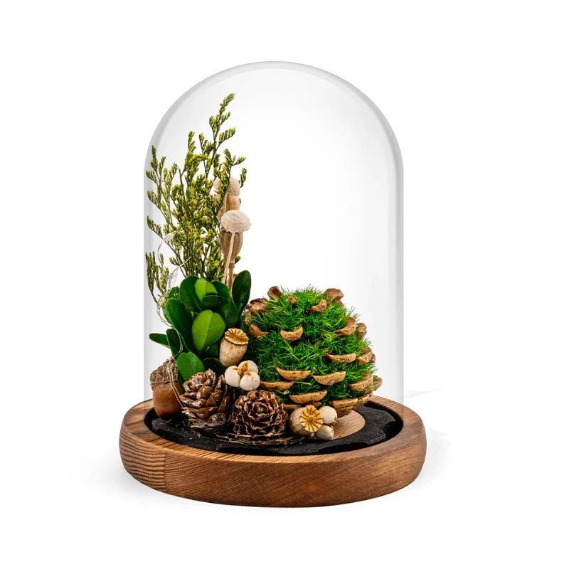 EternaBloom™ Night Light - Luminoya
