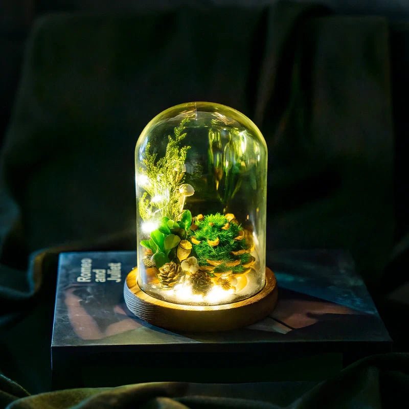 EternaBloom™ Night Light - Luminoya