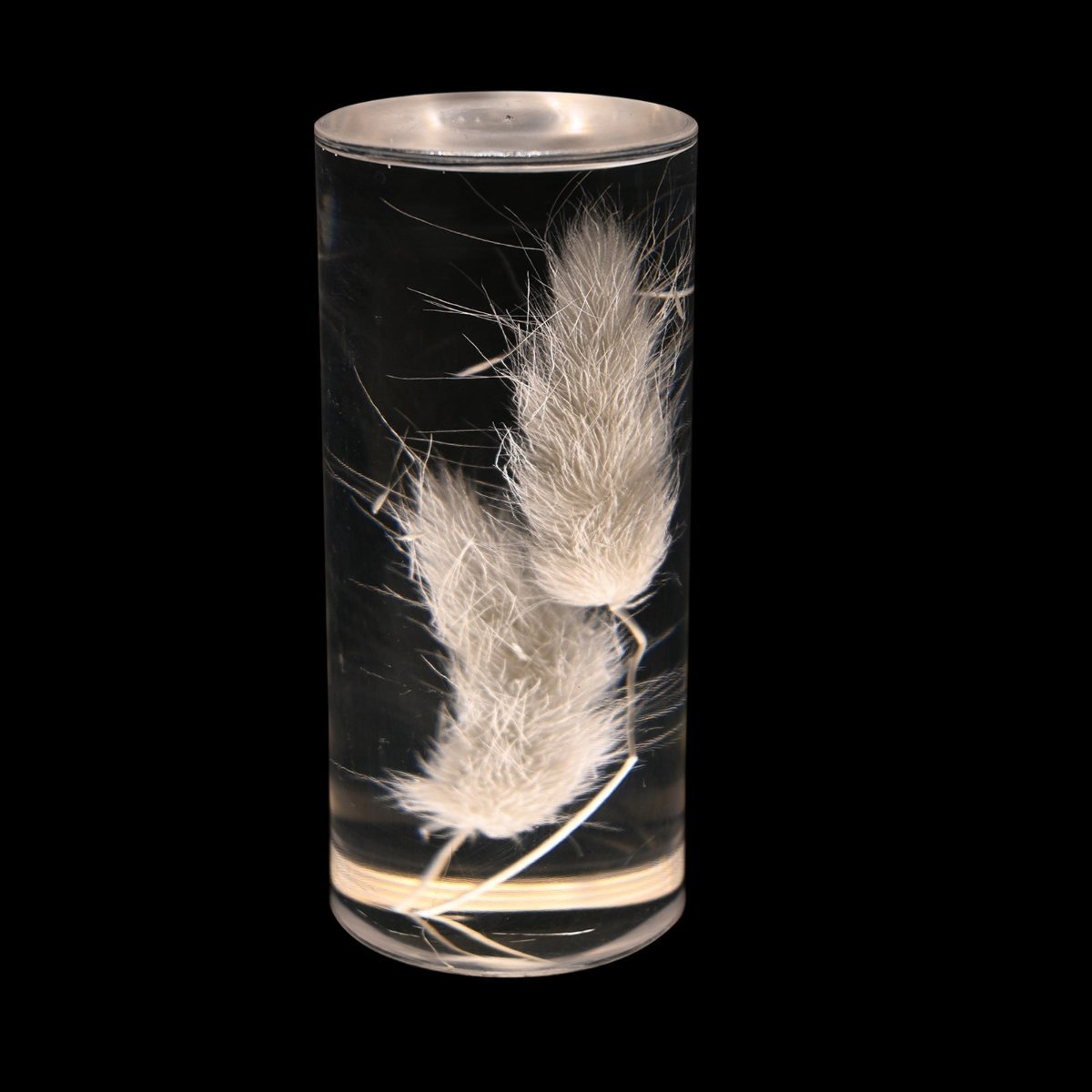 Eternal Blossom™ Table Lamp - Luminoya