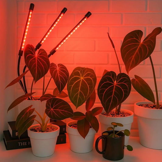 FloraFlare™ Grow Light - Luminoya