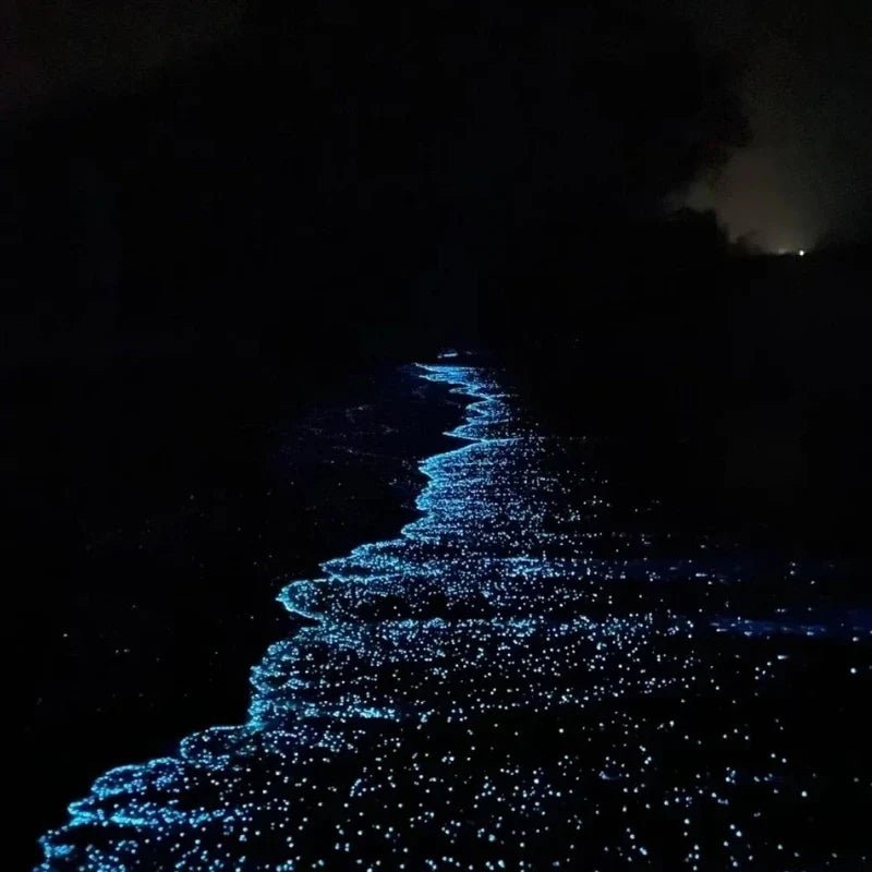 GlowPebbles™ Luminous Stones - Luminoya