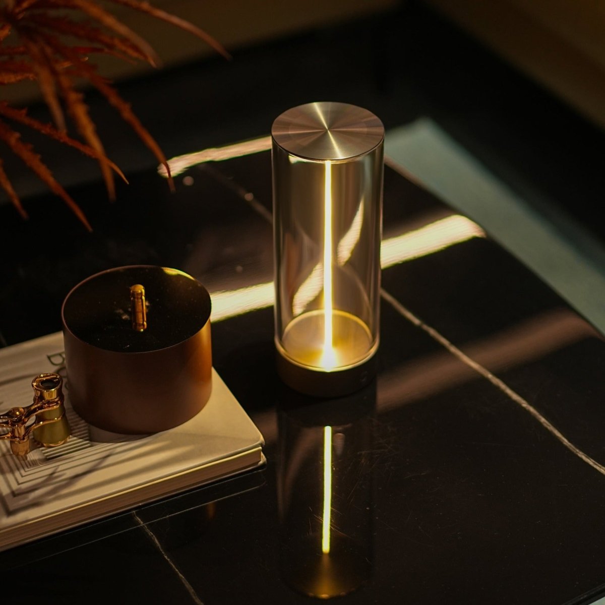 LightRay™ Illuminator - Luminoya