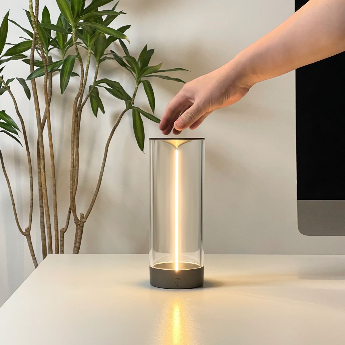 LightRay™ Illuminator - Luminoya