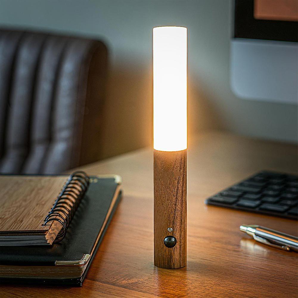 Modern Torch Motion Light - Luminoya