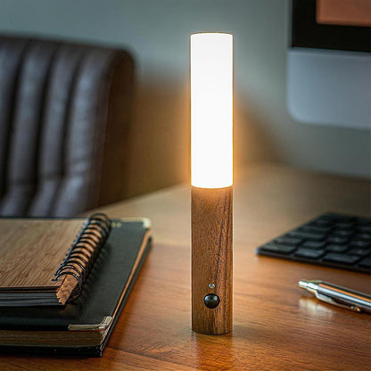 Modern Torch Motion Light - Luminoya