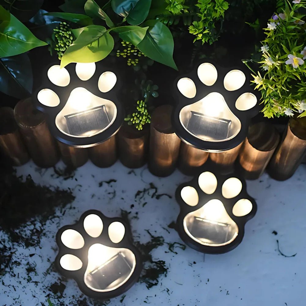 PawGlow™ - Luminoya