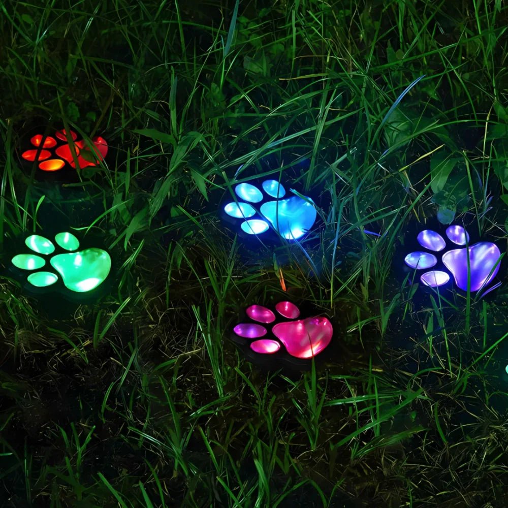 PawGlow™ - Luminoya