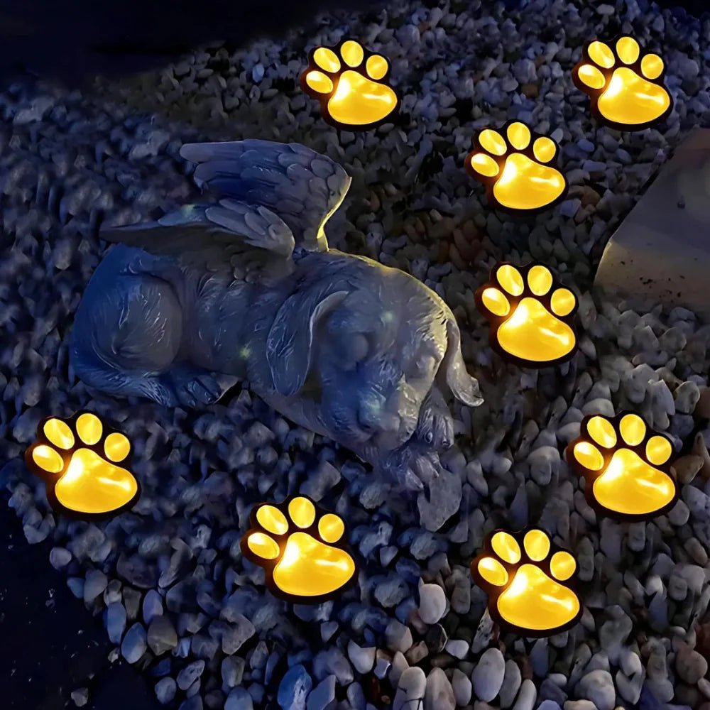 PawGlow™ - Luminoya