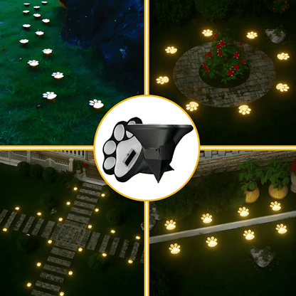 PawGlow™ - Luminoya