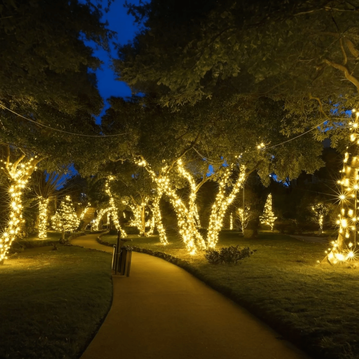 Solar String Fairy Lights - Luminoya