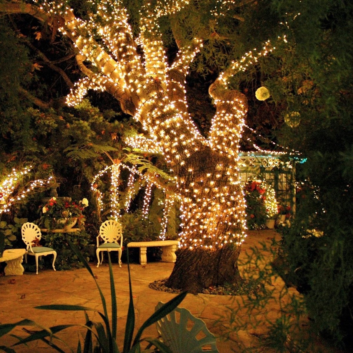 Solar String Fairy Lights - Luminoya