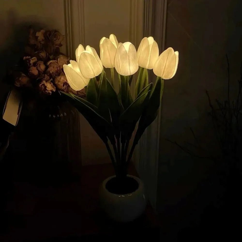 Tulip Night Light - Luminoya
