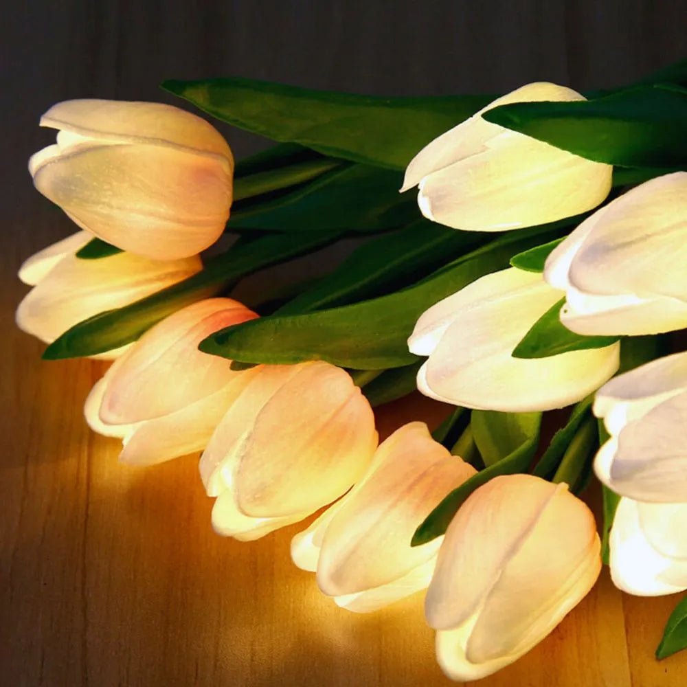 Tulip Night Light - Luminoya