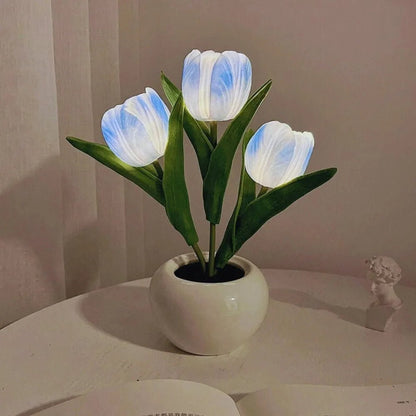 Tulip Night Light - Luminoya
